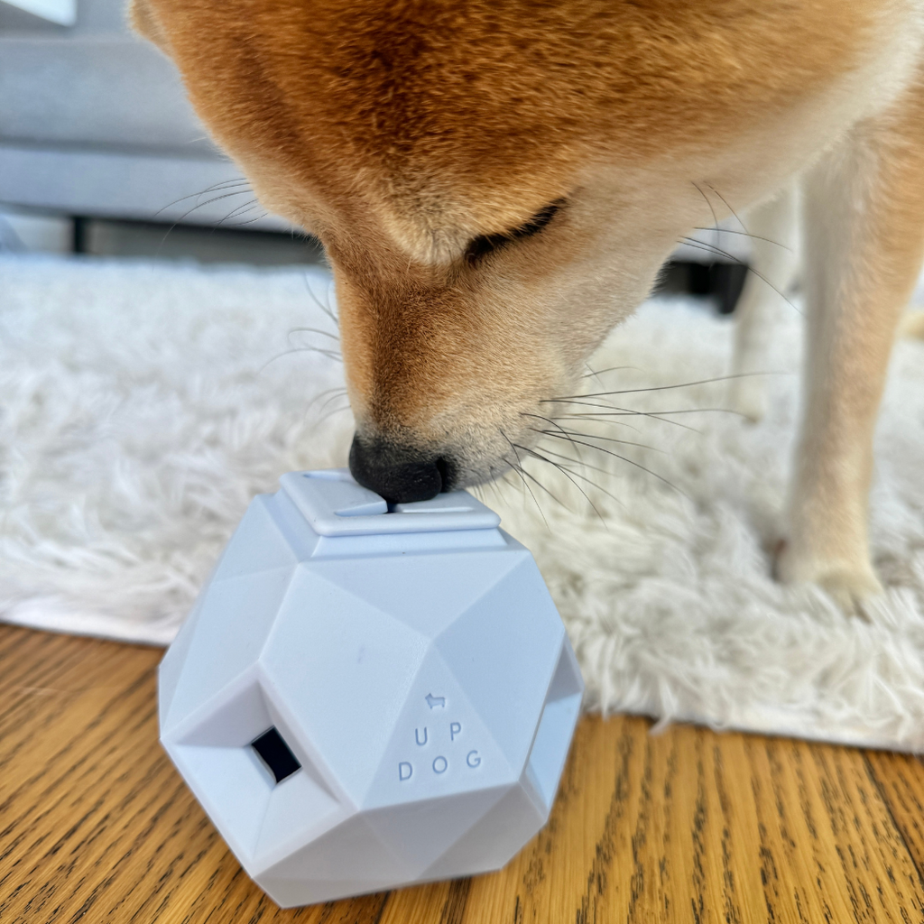 Odin Treat-Dispensing Dog Toy
